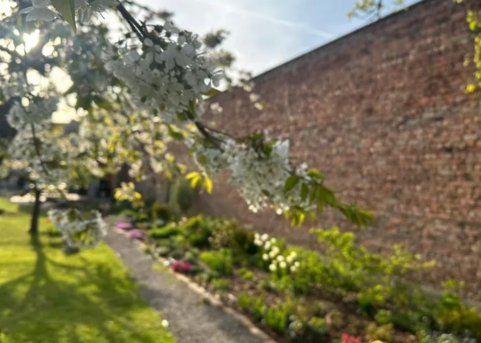 Przystan W Pucku Apartment *